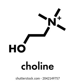 Choline essential nutrient molecule. Skeletal formula.