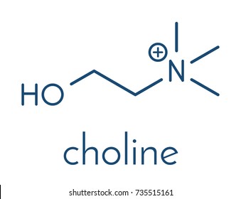 Choline essential nutrient molecule. Skeletal formula.