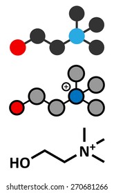 Choline essential nutrient molecule. Stylized 2D renderings and conventional skeletal formula.