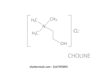 Choline molecular skeletal chemical formula.