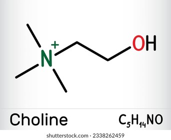 Molécula de nutrientes esenciales tipo vitamina colina. Es vitamina B4. Fórmula química esquelética. Ilustración del vector