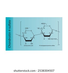 Chondroitin 4-sulfate skeletal structure diagram.Polysaccharide compound molecule scientific illustration.
