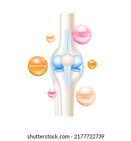 Chondroitin glucosamine and collagen therapy help heal arthritis knee joint, pain in leg. Healthy bone skeleton x ray scan. Used for nutrition products food template design. Isolated 3D Vector EPS10.