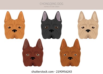 are chongqing dog puppies lazy