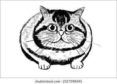 Chonk Cat - Whimsical and chubby feline illustration in EPS format. Ideal for adding a touch of charm and humor to designs, logos, and branding that celebrate the irresistibly plump and lovable nature