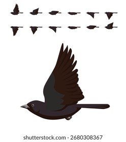 Chopi Blackbird Flying Animation Sequence Cartoon Vector