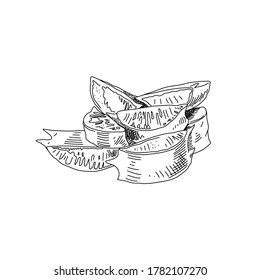 Chopped Aloe Vera Leaves - vector drawing