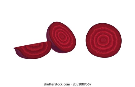 Chopped Beetroot or Garden Beet with Cross Section Vector Set