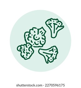 Chopped broccoli color line icon. Healthy food. Vegetarian product