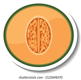 Chopped Cantaloupe In Cartoon Style Illustration