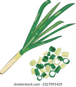 Chopped Green Onion Element Chives Slices Illustration Graphic Element Art Card