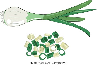 Chopped Green Onion Element Chives Slices Illustration Graphic Element Art Card