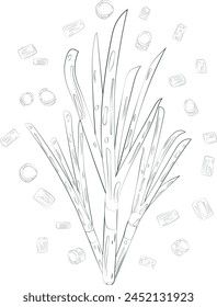 Chopped Green Onion Element Chives Slices Illustration Graphic Element Art Card