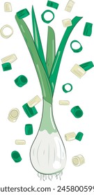 Chopped Green Onion Element Chives Slices Illustration Graphic Element Art Card