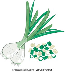 Chopped Green Onion Element Chives Slices Illustration Graphic Element