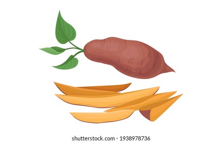 Chopped Sweet Potato or Batata as Large Starchy, Sweet-tasting Root Vegetable Vector Set