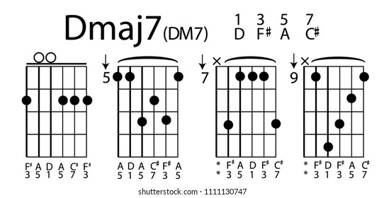 chord guitar vector