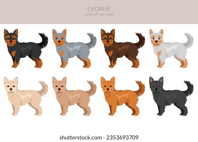 Chorkie clipart. Chihuahua Yorkshire terrier mix. Different coat colors set.  Vector illustration