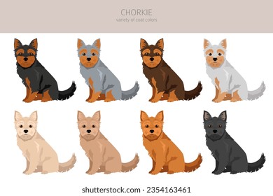 Chorkie clipart. Chihuahua Yorkshire terrier mix. Different coat colors set.  Vector illustration