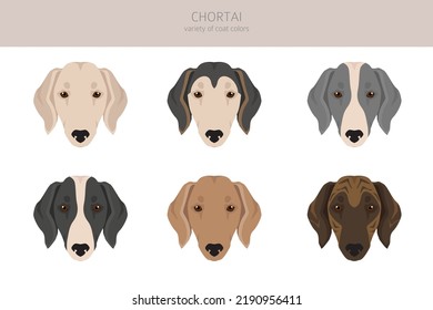 Chortai clipart. Different poses, coat colors set.  Vector illustration