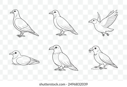 Chough Line Art Vector Set Featuring Detailed Illustrations of the Unique Mountain Bird