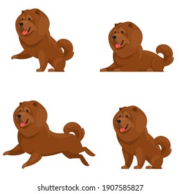 Chow Chow in different poses. Beautiful pet in cartoon style.