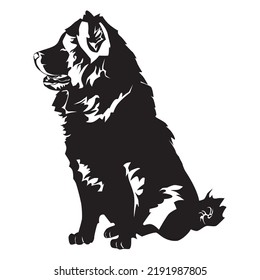 Chow chow dog black silhouette, vector illustration isolated on white background.