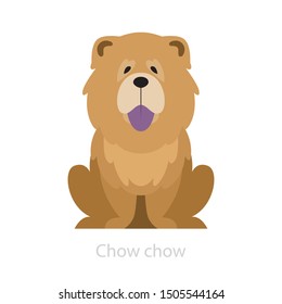 Chow chow dog breed. Animal with a fluffy fur. Funny cute pet. Isolated vector illustration in cartoon style