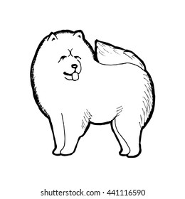 Chow Chow Dog Breed. Outline Vector Illustration.