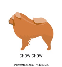 Chow chow. Dog, flat icon. Isolated on white background.