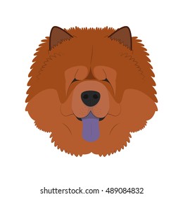 Chow Chow dog isolated on white background vector illustration