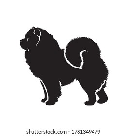 Chow Chow Dog - Isolated Vector Illustration