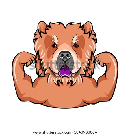Chow chow dog with muscules. Vector Illustration Portrait of dog. Isolated on white background.