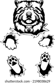 Chow chow dog owner pet lover EPS ripped shirt