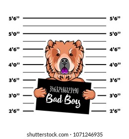 Chow chow dog. Prisoner, convict. Dog criminal. Police placard, Police mugshot, lineup. Arrest photo Mugshot photo Vector illustration