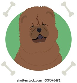 Chow chow, icon, logo, symbol, dog.