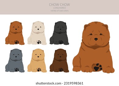 Chow chow longhaired puppies variety clipart. Different poses, coat colors set.  Vector illustration