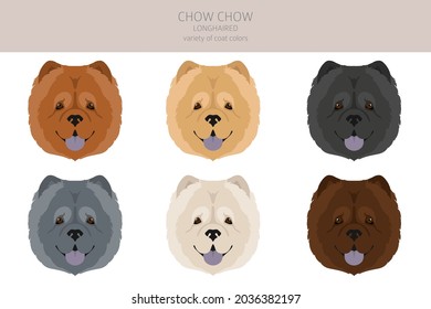 Chow chow longhaired variety clipart. Different poses, coat colors set.  Vector illustration