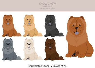 Chow chow longhaired variety clipart. Different poses, coat colors set.  Vector illustration