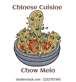 Chow Mein. Stimfried noodles with the meat?poultry and vegetables. Chinese food. Vector image isolated.