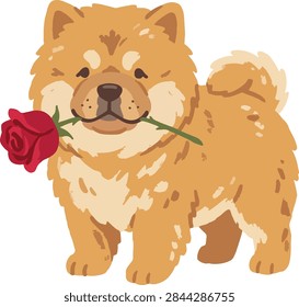 Chow Chow Puppy Biting Rose