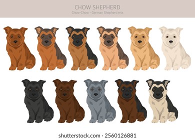 Chow Shepherd mix clipart. Chow chow German Shepherd mix. Different coat colors set.  Vector illustration