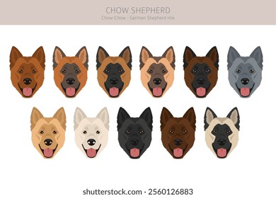 Chow Shepherd mix clipart. Chow chow German Shepherd mix. Different coat colors set.  Vector illustration