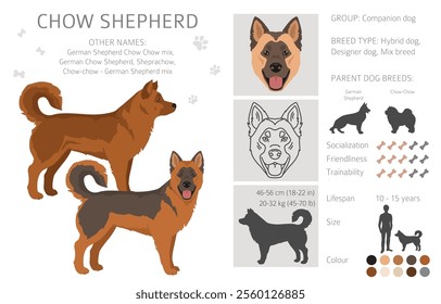 Chow Shepherd mix clipart. Chow chow German Shepherd mix. Different coat colors set.  Vector illustration