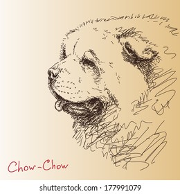 Chow-Chow-Hund-Vektorgrafik