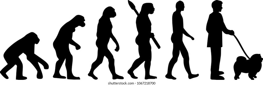 Chow-chow evolution with dog silhouette