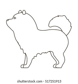 2,291 Chow Chow Vector Images, Stock Photos & Vectors | Shutterstock