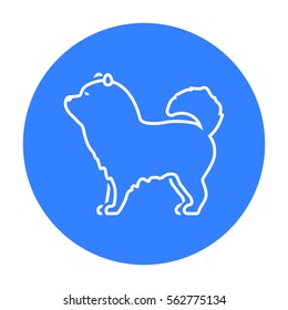 Chow-chow vector icon in black style for web