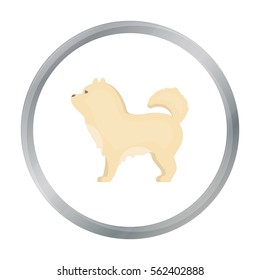 Chow-chow vector icon in cartoon style for web