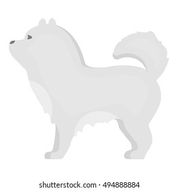 Chow-chow vector icon in monochrome style for web